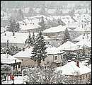 DSCF2517_telszh.jpg