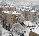 DSCF2519.jpg
