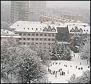 DSCF2520.jpg