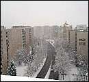 DSCF2524.jpg