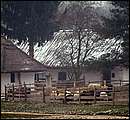 DSCF2527a.jpg