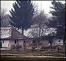 DSCF2539a.jpg
