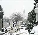 DSCF7645_telszh.jpg