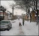DSCF8248_telszh.jpg