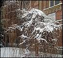 DSCF8256_telszh.jpg