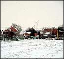 DSCF8285_telszh.jpg
