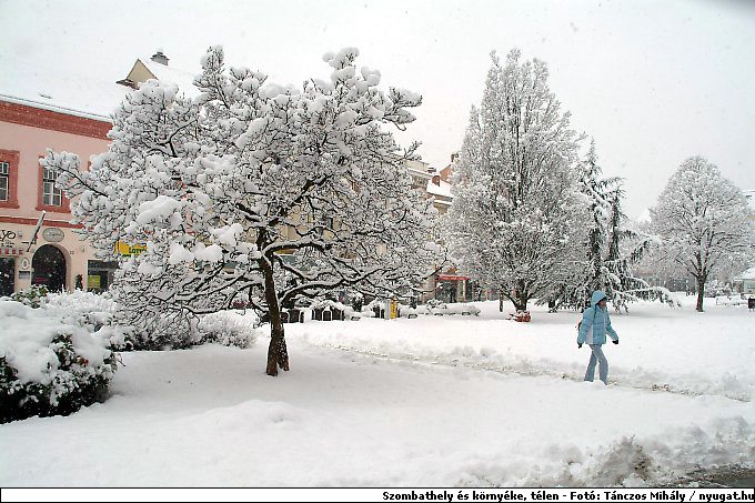 DSCF2342_TELSZH.jpg