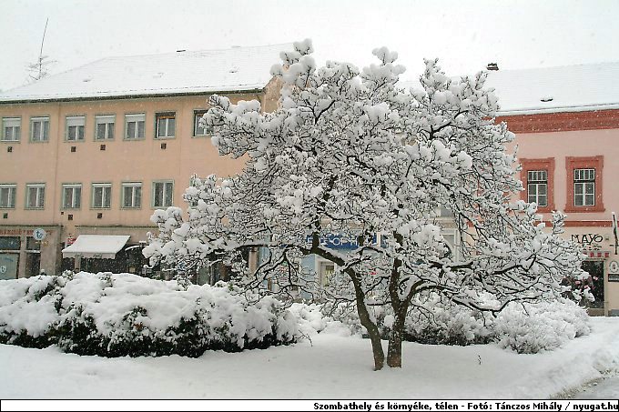 DSCF2344.jpg