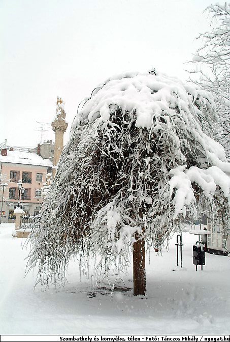 DSCF2349_TELSZH.jpg
