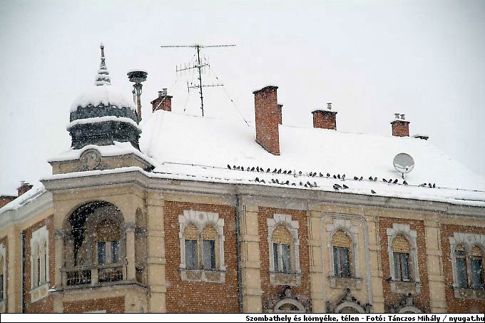 DSCF2371.jpg