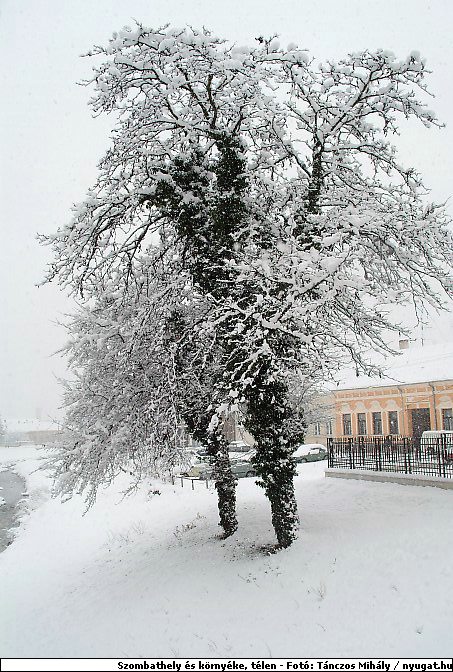 DSCF2425_TELSZH.jpg