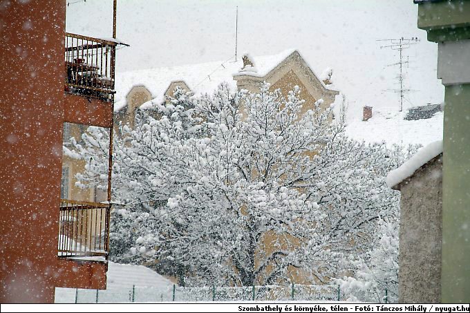 DSCF2428.jpg