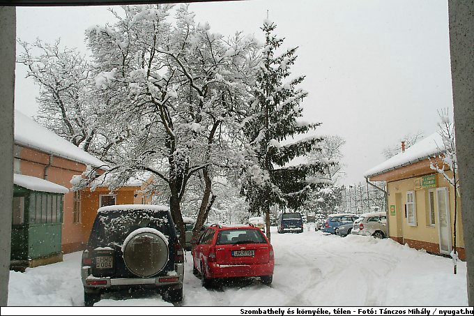 DSCF2445.jpg