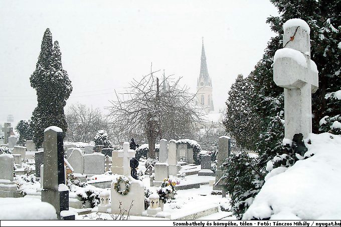 DSCF7645_telszh.jpg