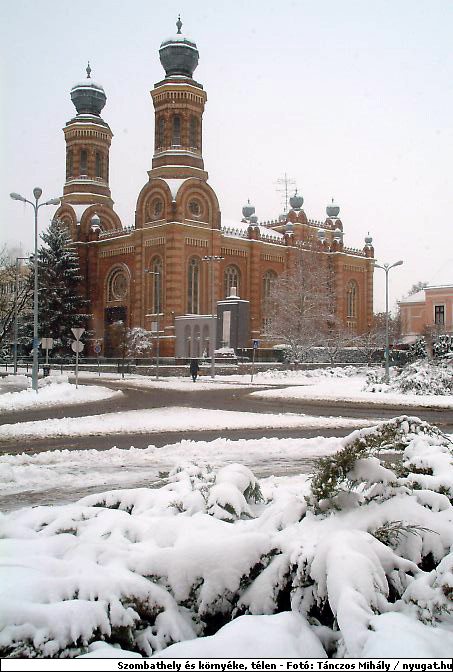 aDSCF8250_telszh.jpg