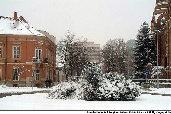 aDSCF8253_telszh.jpg