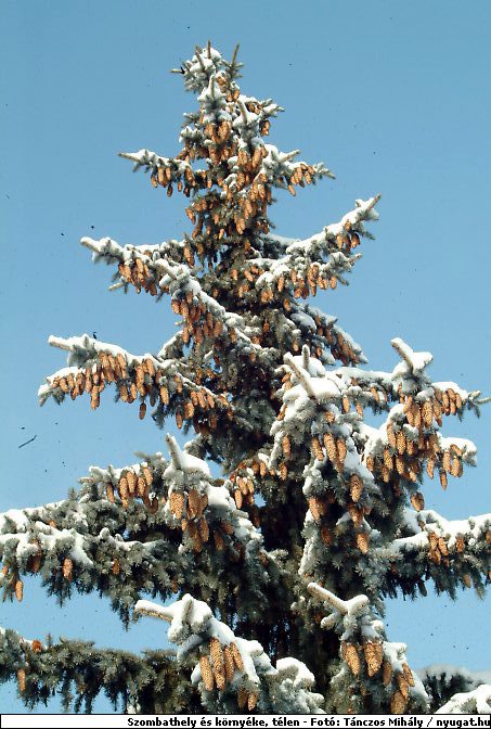 wDSCF0836.jpg