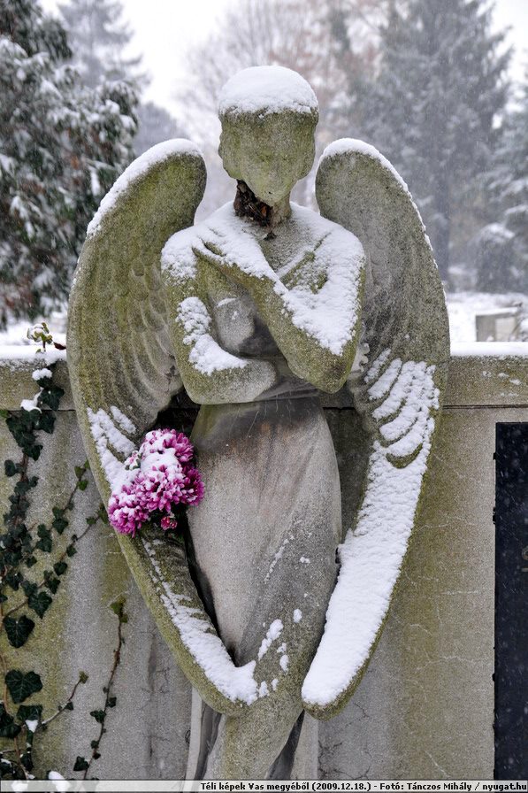 DSC_4564.JPG