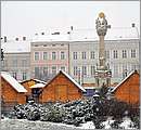 DSC_4422.JPG