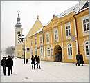 DSC_4443.JPG