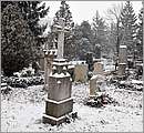 DSC_4547.JPG