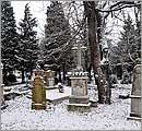 DSC_4555.JPG