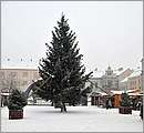 DSC_4631.JPG