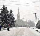 DSC_4772.JPG