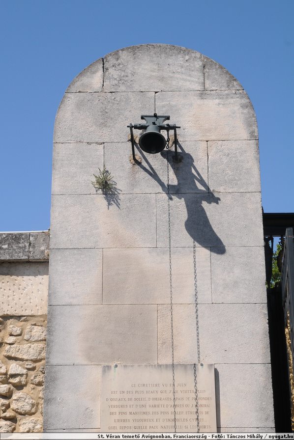 DSC_4342.JPG