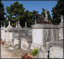 DSC_4354.JPG