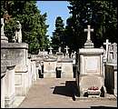 DSC_4360.JPG