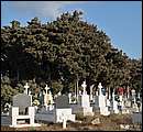 DSC_6569.JPG