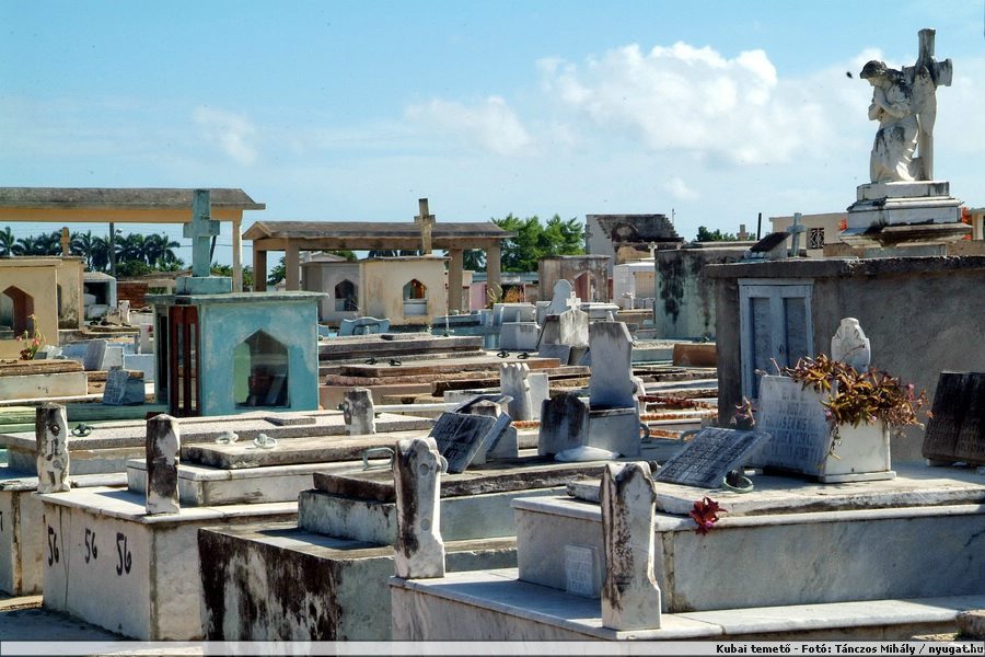 DSCF2061.jpg