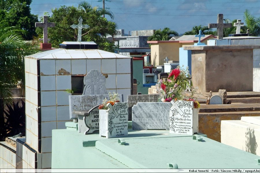 DSCF2062.jpg