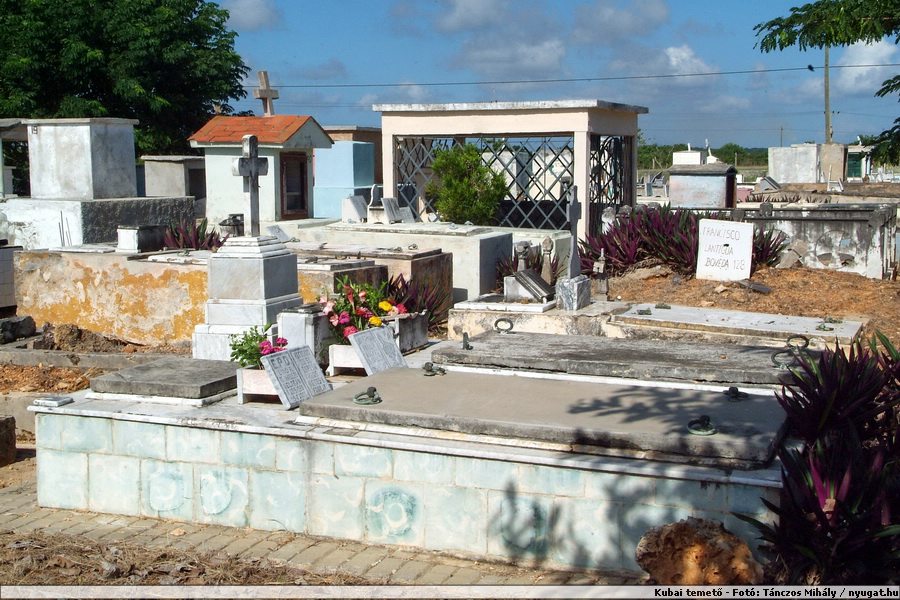 DSCF2064.jpg