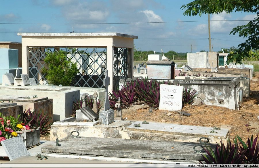 DSCF2069.jpg