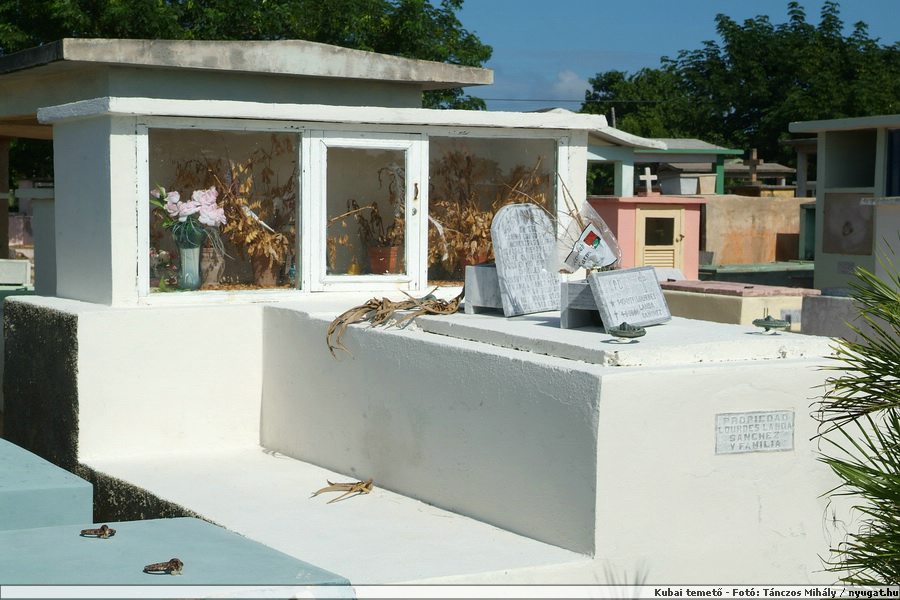 DSCF2070.JPG