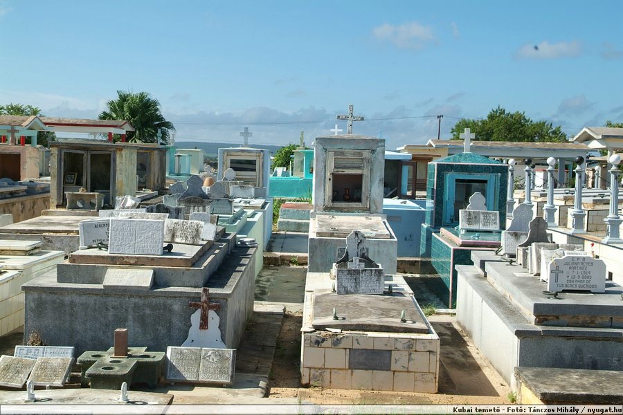 DSCF2084.JPG