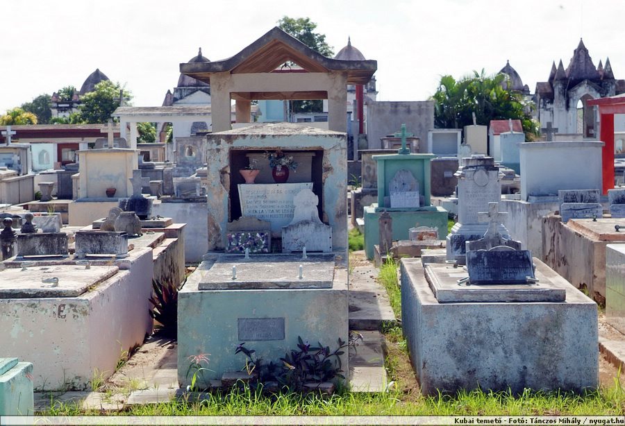 DSCF2094.jpg