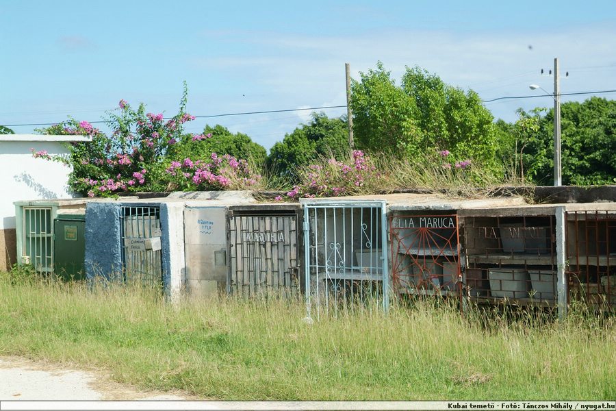 DSCF2102.JPG