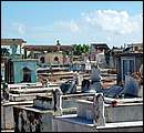 DSCF2061.jpg