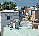 DSCF2062.jpg