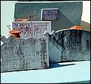 DSCF2063.jpg