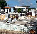 DSCF2064.jpg