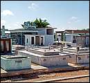 DSCF2066.jpg
