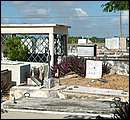 DSCF2069.jpg