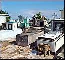 DSCF2071.jpg