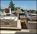 DSCF2074.JPG
