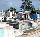 DSCF2080.jpg