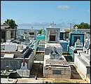 DSCF2084.JPG